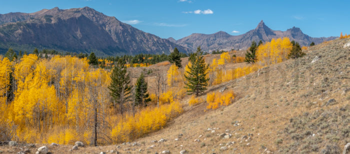 Absaroka Range Gold Aspens Pilot Index Peaks