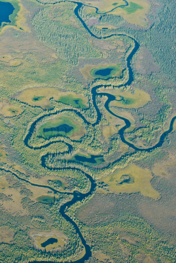 Alaska Meandering Stream
