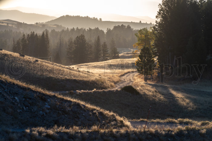 Blacktail Plateau Roadway