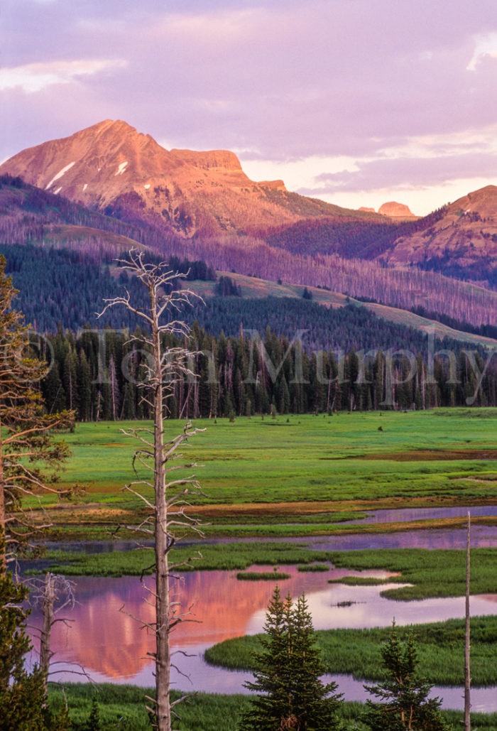 Colter Peak Sunset Beaverdam Creek