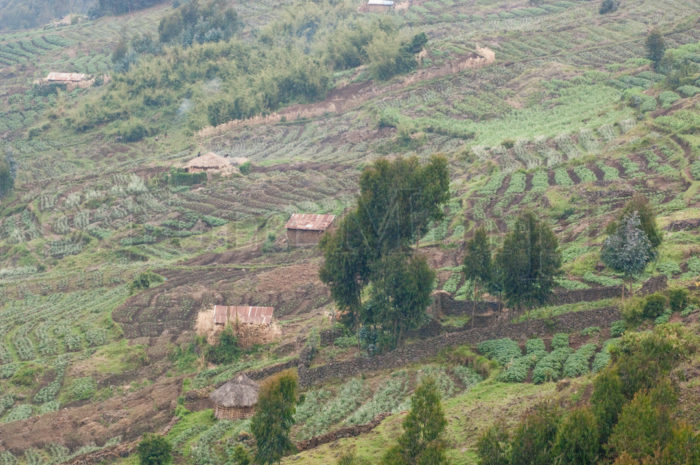 Fields Houses Rwanda