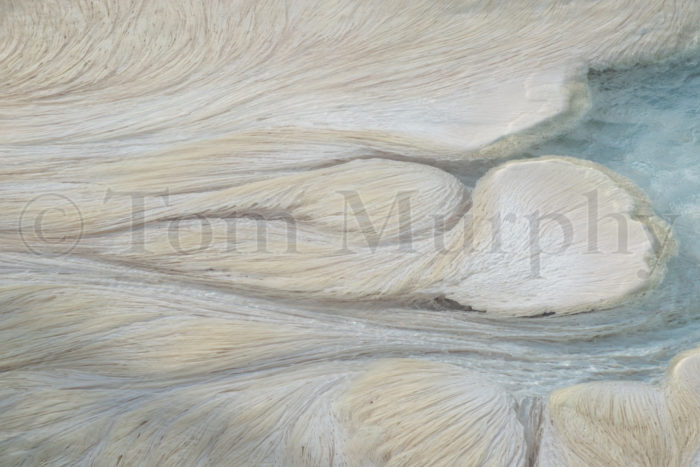 Filamentous Bacteria Mammoth Hot Springs