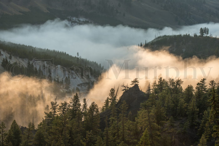Grand Canyon Yellowstone Fog Sunrise