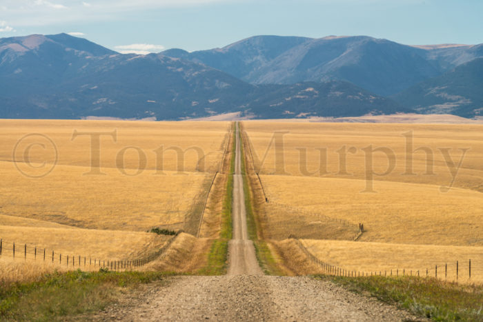 Gravel Road Crazy Mountains