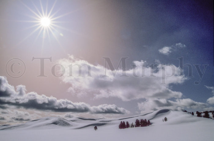 Hayden Valley Snowdrifts Sunstar
