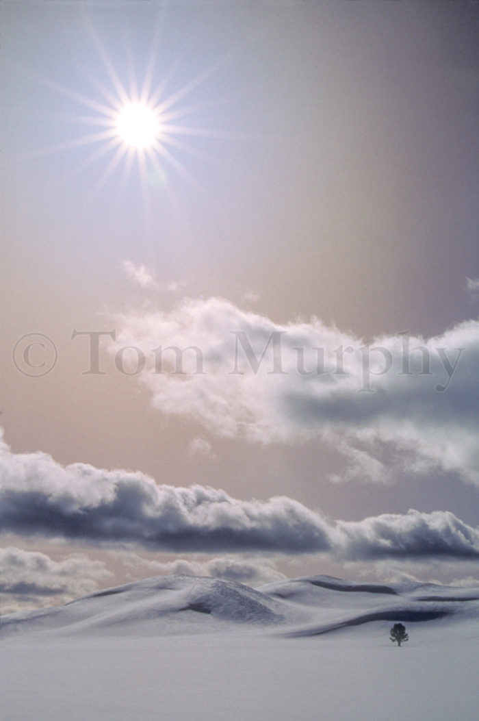 Hayden Valley Snowdrifts Sunstar