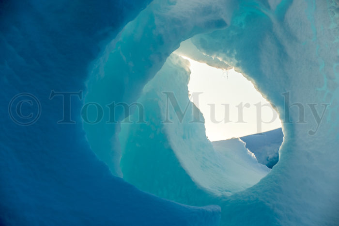 Ice iceberg fox hi-res stock photography and images - Alamy