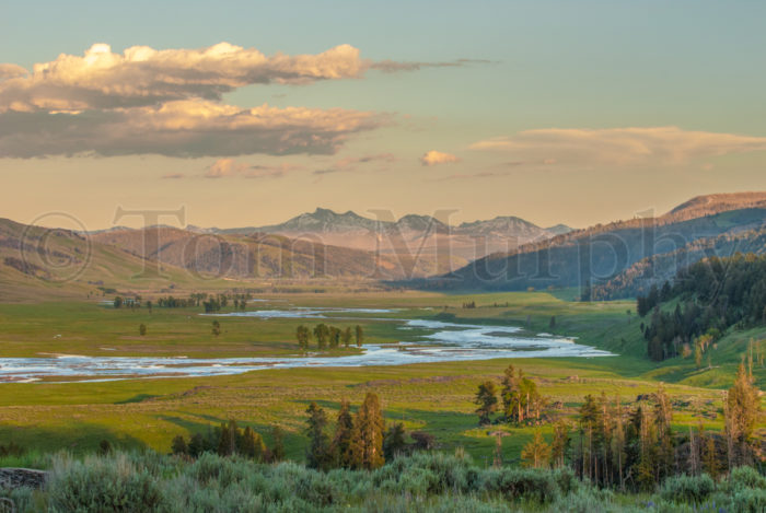 Lamar Valley Summer Evening