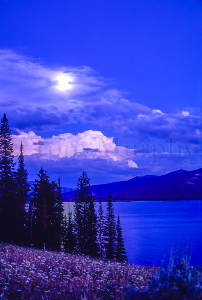 Lightning Full Moon Night