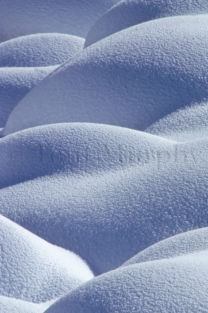 Norwegian Beach Snow Pillows