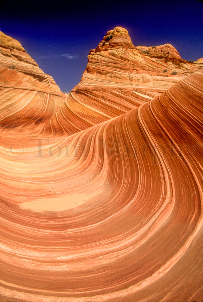 Paria Wilderness The Wave