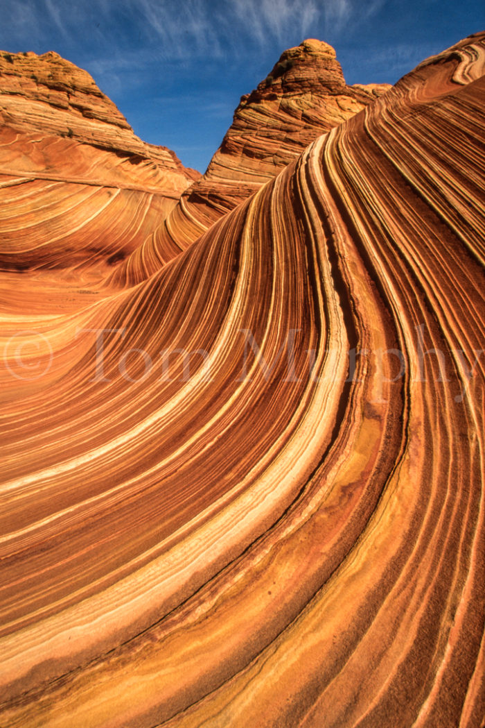 Paria Wilderness The Wave Sandstone Ridges