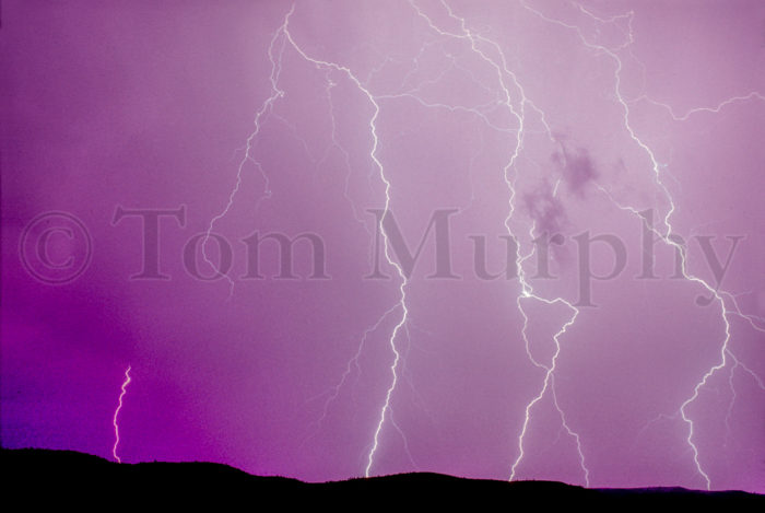 Purple Lightning