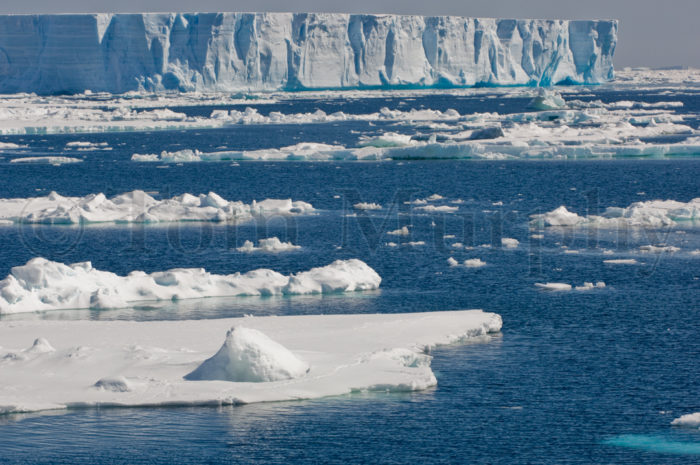 Sea Ice Iceburg
