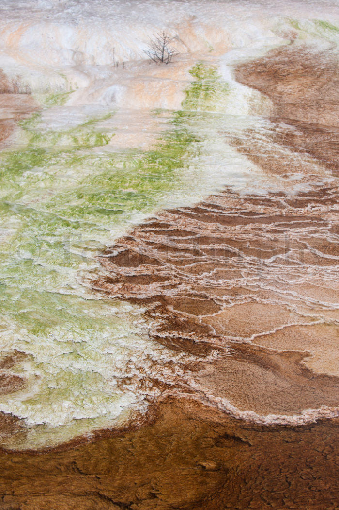 Travertine Runoff Channel