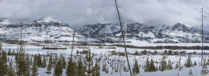 Trident Thorofare Winter