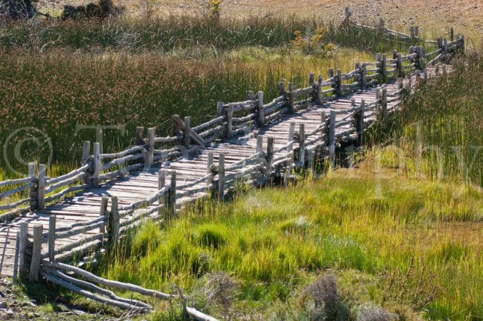 Wooden Foot Bridge