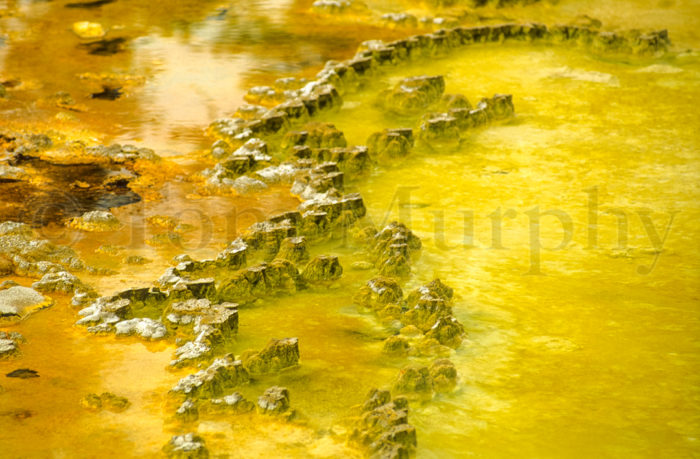 Yellow Sinter