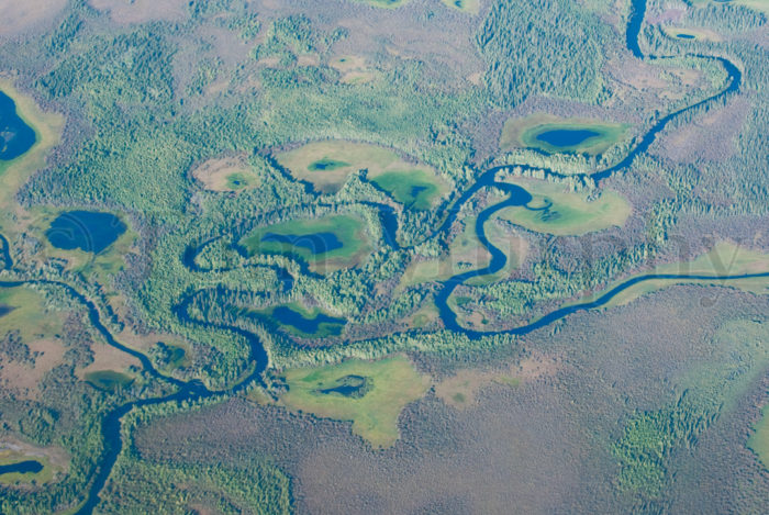Yukon River Channels