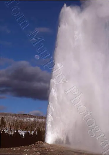 Old Faithful Full Moon – Card