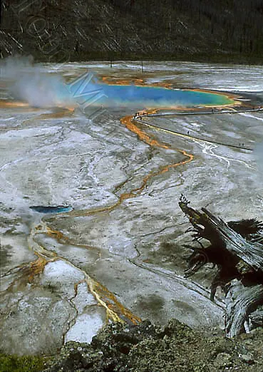 Grand Prismatic Spring and Excelsior Geyser Crater - Card