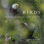 Birds – Master of The Air, Land, & Water