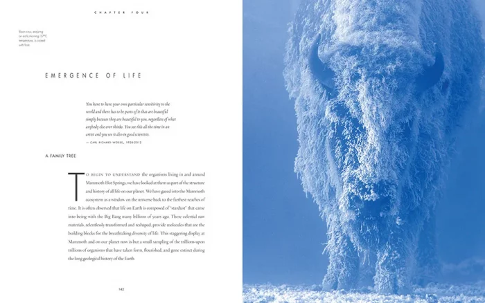 The Art of Yellowstone Science – Mammoth Hot Springs as a Window on the Universe - Image 4