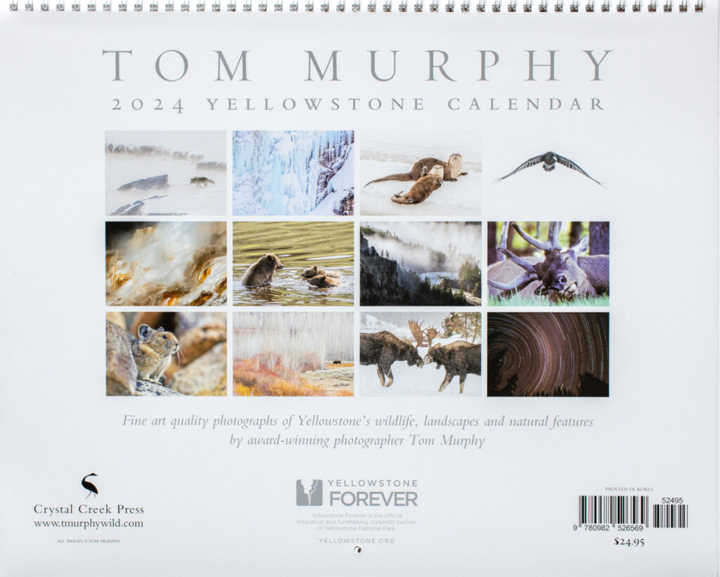 Yellowstone Calendar 2024 Tom Murphy Photography