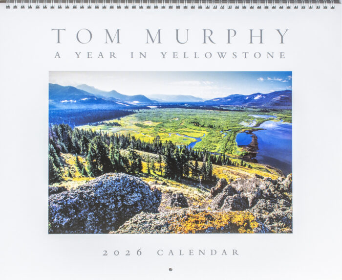A Year In Yellowstone Calendar 2026
