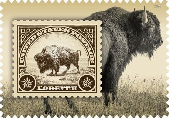 Murphy’s image serves as a background for the reproduction of the first 1923 bison stamp.